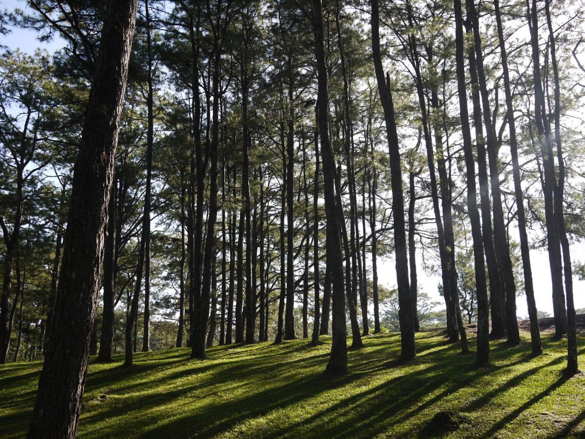 Azalea Residences Baguio Baguio City Extérieur photo